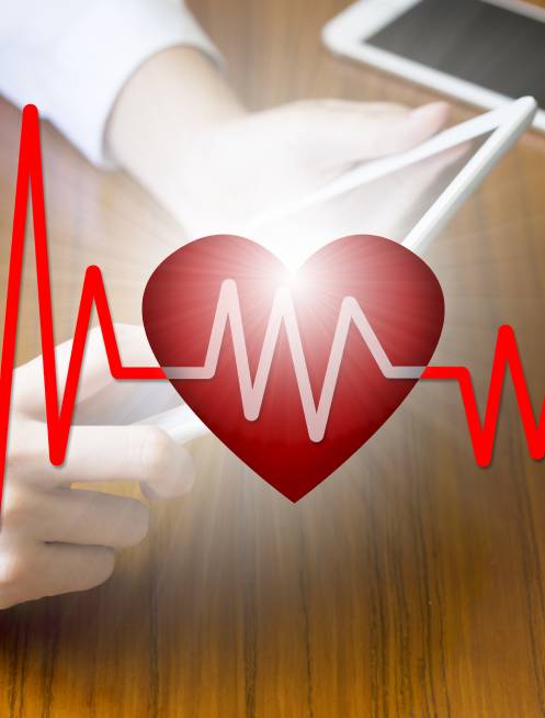 Biografía de [nombre]